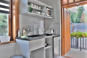 cocina con fregadero y encimera en APARTAMENT - ZAKOPIAŃSKI, en Zakopane