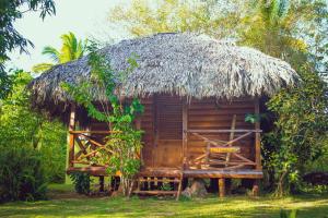 a small hut with a thatched roof at Aventura Rincon Ecolodge in Las Galeras