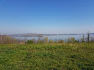 a field of grass with a lake in the background at Warias Hotel & Restaurant in Braunsbedra