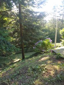 Un jardín fuera de Sumska bajka