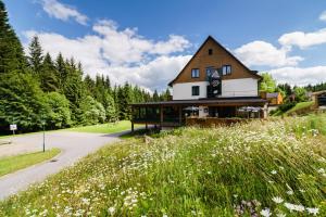 a house on the side of a road with a field of flowers at Waldhotel Vogtland in Klingenthal