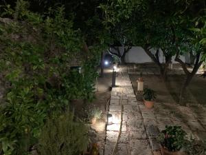 A garden outside Dimora Le Zagare