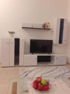 TV a/nebo společenská místnost v ubytování Đurđevak lux
