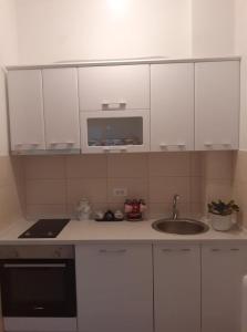 Kuchyň nebo kuchyňský kout v ubytování Đurđevak lux