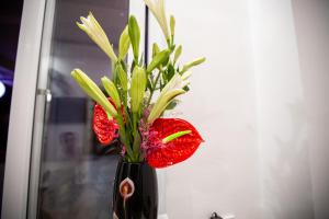 Galeriebild der Unterkunft 5.T Hostel in Hue