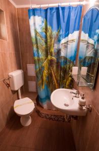 Vonios kambarys apgyvendinimo įstaigoje Vila Victor - Adults only