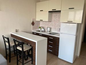 a kitchen with a counter and a white refrigerator at Апартаменты Vilada in Zatoka