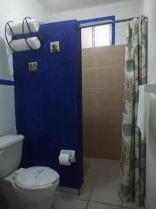 a blue bathroom with a toilet and a shower at Hotel Mirador Real in Bernal