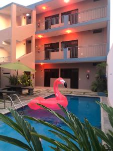 a pink flamingo in a pool in front of a building at Hotel Del Mar in Barra de Navidad