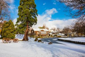 Millbrook Resort talvel