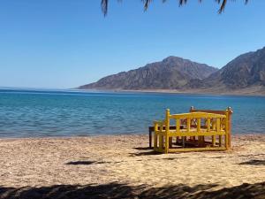 a yellow bench sitting on a beach next to the water at Sayadeen Village - Red Sea Riviera in Nuweiba