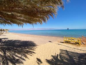 a bench sitting on a beach next to the water at Sayadeen Village - Red Sea Riviera in Nuweiba