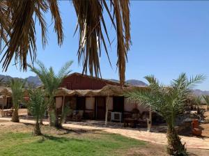 a house with palm trees in front of it at Sayadeen Village - Red Sea Riviera in Nuweiba +37 photos