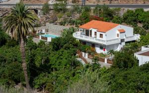 una casa en una colina con una palmera en Finca el Moral, en Puerto de Mogán