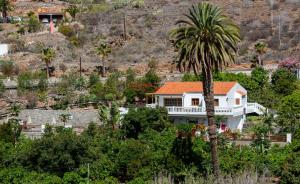 een palmboom voor een wit huis bij Finca el Moral in Puerto de Mogán