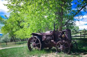 Foto Cortezis asuva majutusasutuse Rustic Hideaway galeriist