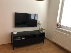 Televízia a/alebo spoločenská miestnosť v ubytovaní Apartmán Voltérka