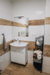 La salle de bains est pourvue d'un lavabo et d'un miroir. dans l'établissement Útulná garsonka v přírodě pro 2 osoby, à Jihlava
