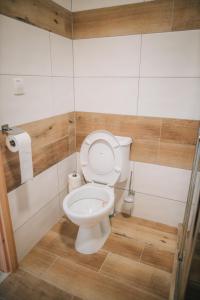a bathroom with a toilet and a toilet paper dispenser at Útulná garsonka v přírodě pro 2 osoby in Jihlava