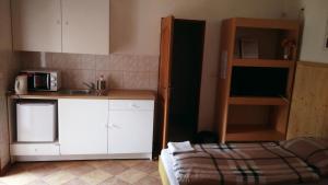 a small kitchen with a sink and a microwave at Ubytování U Tajčů in Dolní Beřkovice