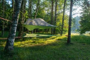 Puutarhaa majoituspaikan Naawa Nature Camp ulkopuolella