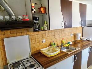 Kuchyň nebo kuchyňský kout v ubytování Apartment Daca