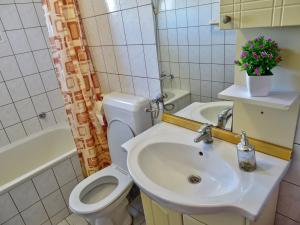 Koupelna v ubytování Apartment Daca