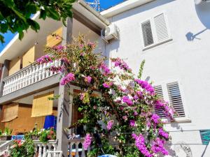 Balkón nebo terasa v ubytování Apartment Daca
