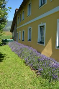 Vonkajšia záhrada v ubytovaní Wastlhof am Kreischberg