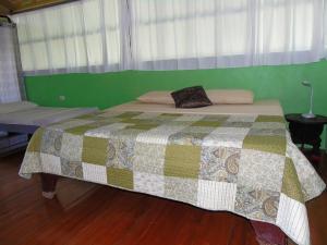 a bed in a room with a green wall at Bungalow with sea view in Drake