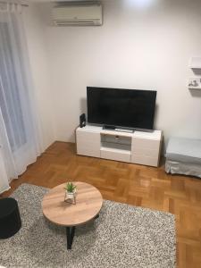 TV a/nebo společenská místnost v ubytování Luna Apartments, apartments with style