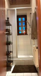 La salle de bains est pourvue d'une douche et d'une fenêtre. dans l'établissement itzgrundperlchen, à Untermerzbach