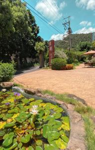 Paesaggio naturale nelle vicinanze del bed & breakfast
