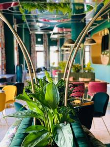 a room filled with lots of plants and chairs at Ego SPA in Birštonas