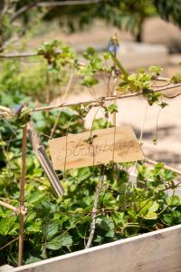 Can Arabí, Ibiza Town – Updated 2022 Prices
