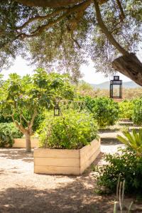 Can Arabí, Ibiza Town – Updated 2022 Prices