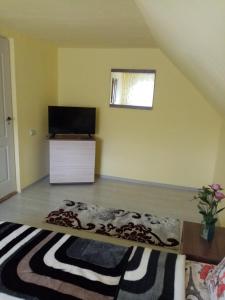 a living room with a bed and a television at Căsuța din pădure de la Câmpu lui Neag in Cîmpu lui Neag