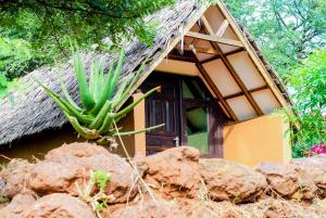 ein kleines Haus mit einem Grasdach und einem Kaktus in der Unterkunft Teen Ranch Kenya in Amboseli-Nationalpark