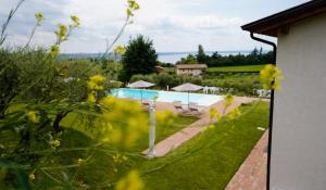 a view of a swimming pool in a garden at Casa Olivi Apartments in Bardolino