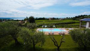 a view of a resort with a pool and trees at Casa Olivi Apartments in Bardolino