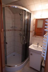 a bathroom with a shower and a sink at Pokoje i Apartament u Lucyny in Czarna Góra