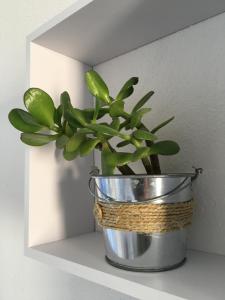 卡拉恩·布拉內斯Apartamentos Surest的相册照片