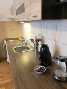 Gallery image of Apartmán Petra in Horní Planá