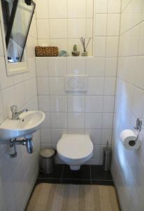 een badkamer met een toilet en een wastafel bij Vakantiehuis Het Wapen van Heeckeren in Hummelo