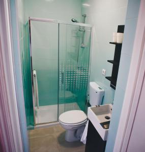 La salle de bains est pourvue de toilettes et d'une douche en verre. dans l'établissement Apartamento Torreão, à Póvoa de Varzim