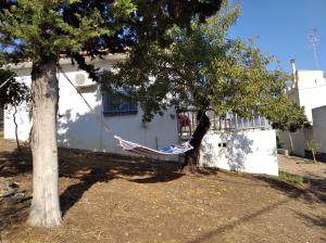 a hammock hanging from a tree in front of a house at Blackmountain Sea Spot in Mavrovoúnion