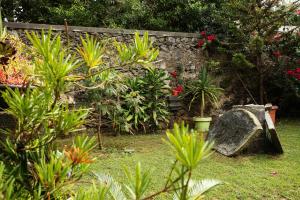 un jardín con plantas y una pared de piedra en Casa do Pico Arde, en Ribeira Grande