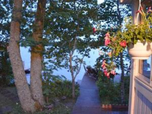 Naturlandskabet i nærheden af feriehuset