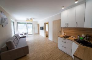 Wyspa Uznam Apart Baltic في سفينويتشي: مطبخ وغرفة معيشة مع أريكة ومكتب