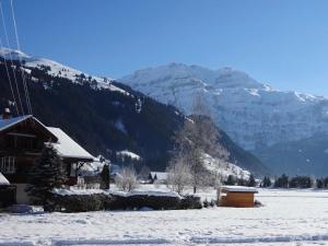 Foto dalla galleria di Apartment Lischenhaus - Strubel by Interhome a Lenk